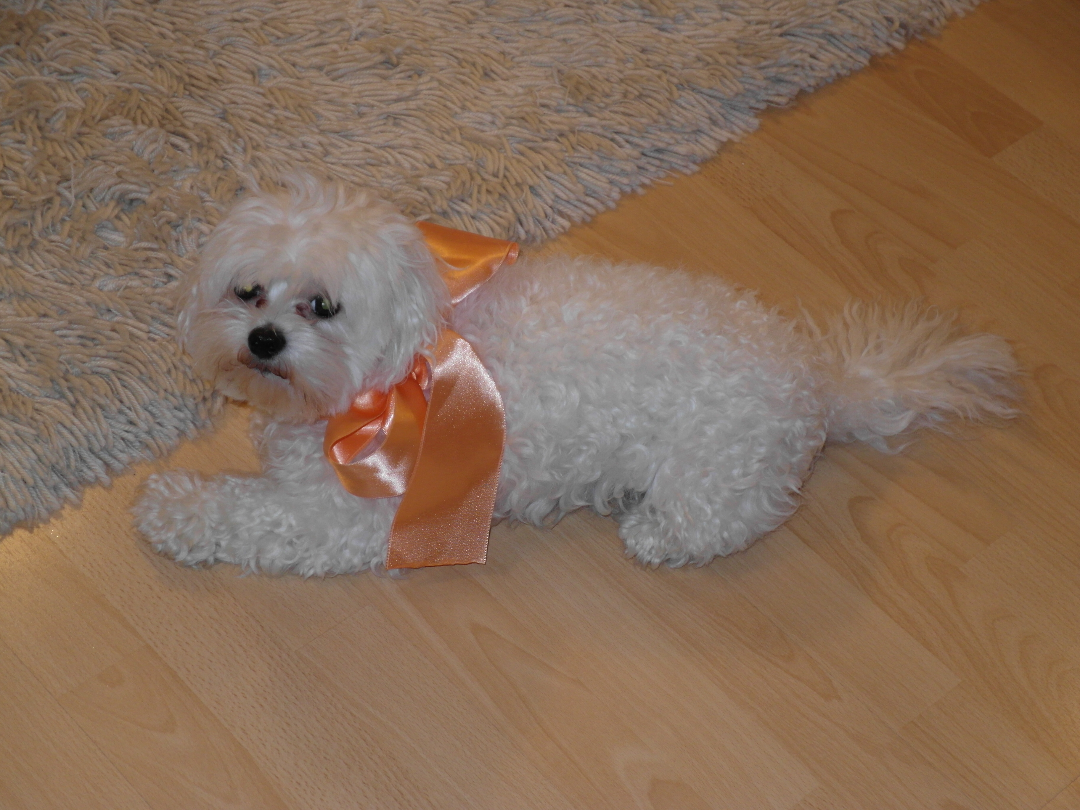 SAM_0938