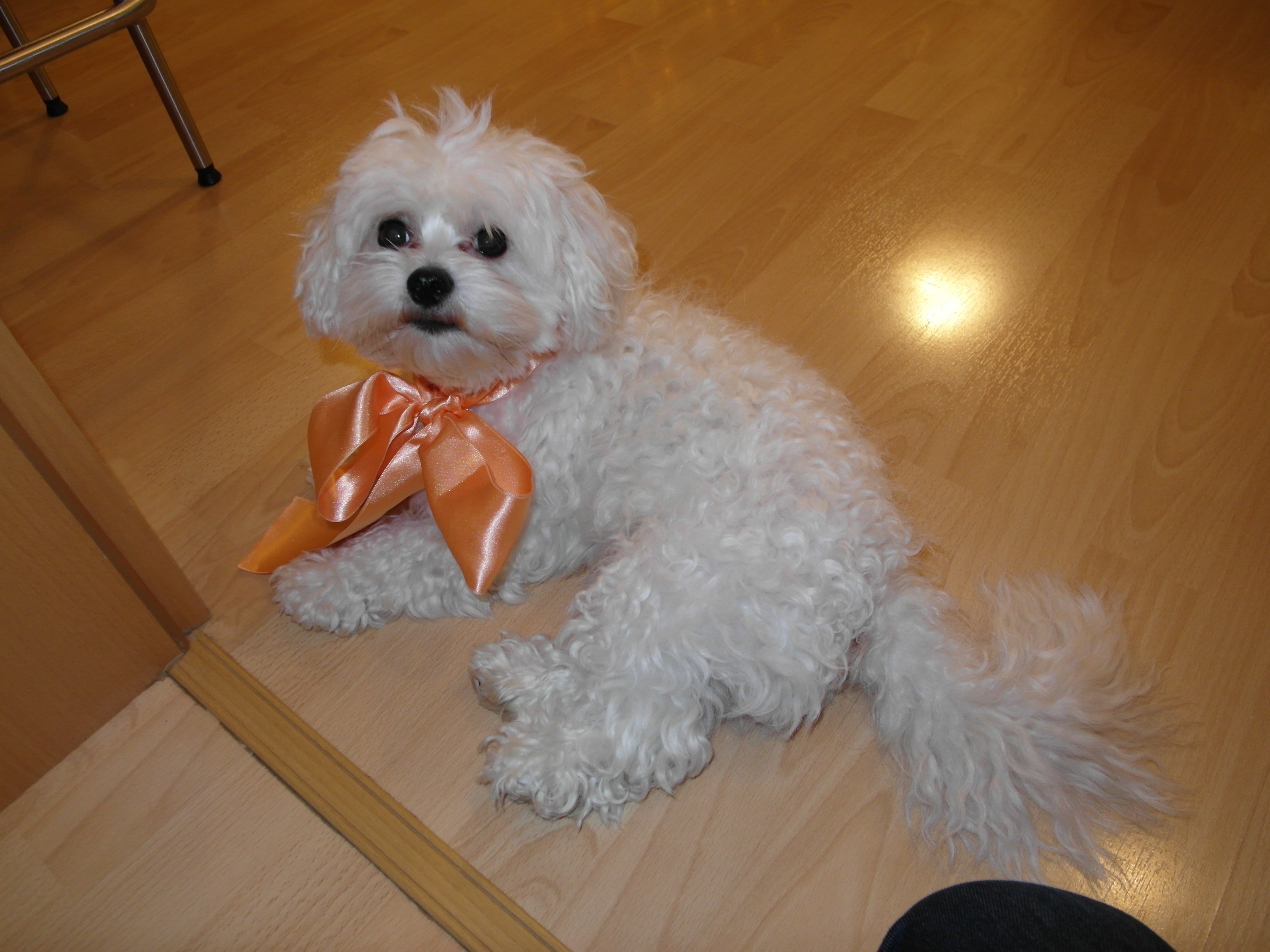 SAM_0950